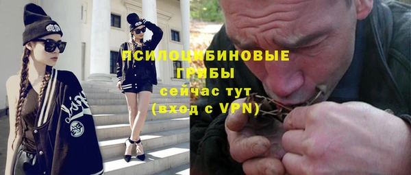 мдпв Надым