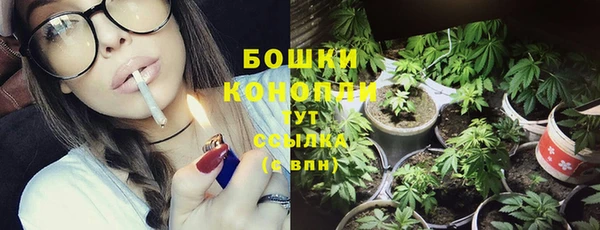 мдпв Надым