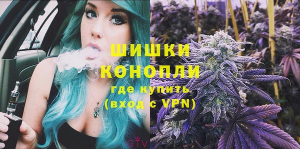 мдпв Надым